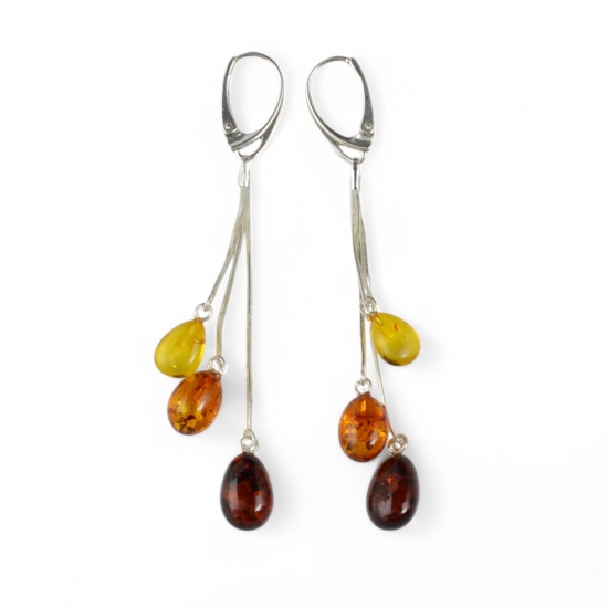 Multicolor Baltic amber earrings